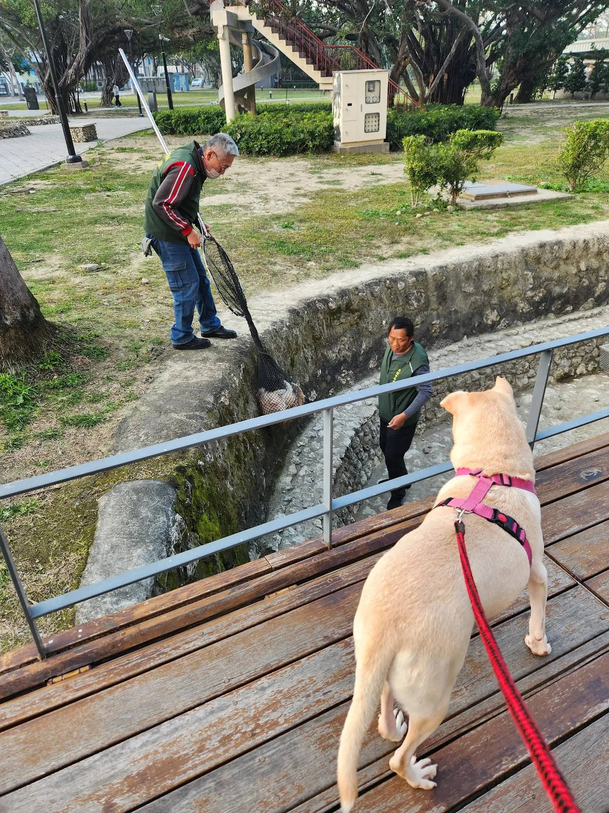 高雄市動物保護處