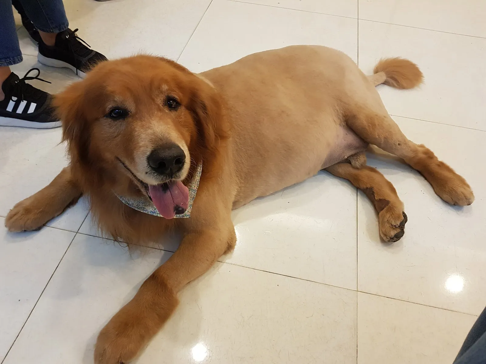 懷恩動物醫院
