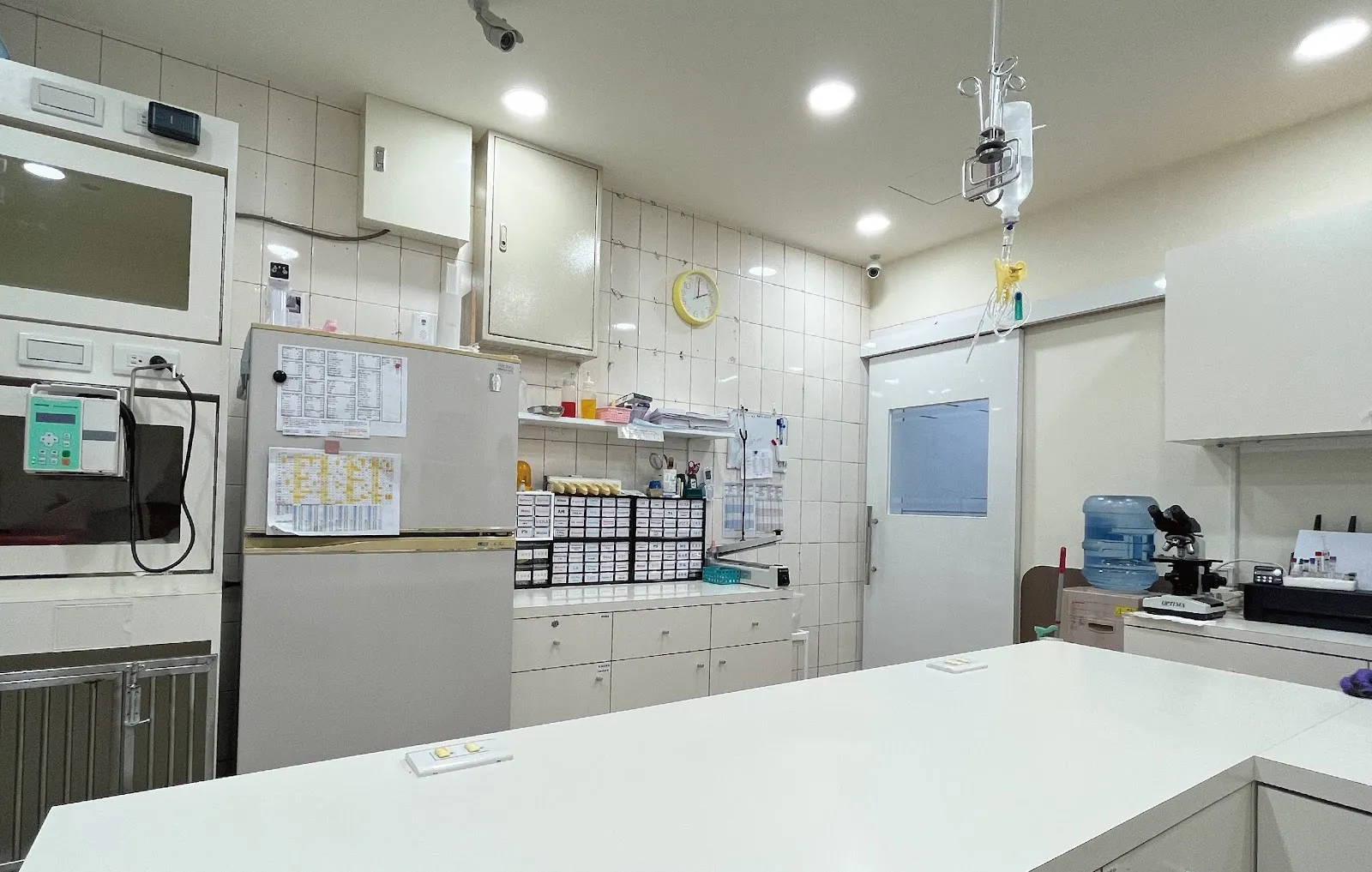 全國動物醫院永康分院