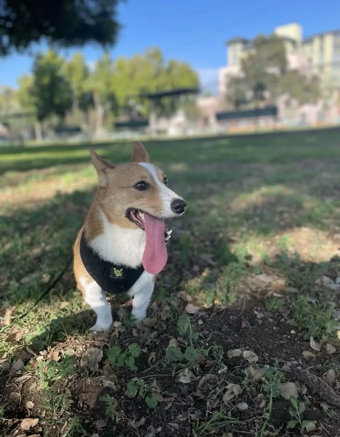 全民連鎖動物醫院總院