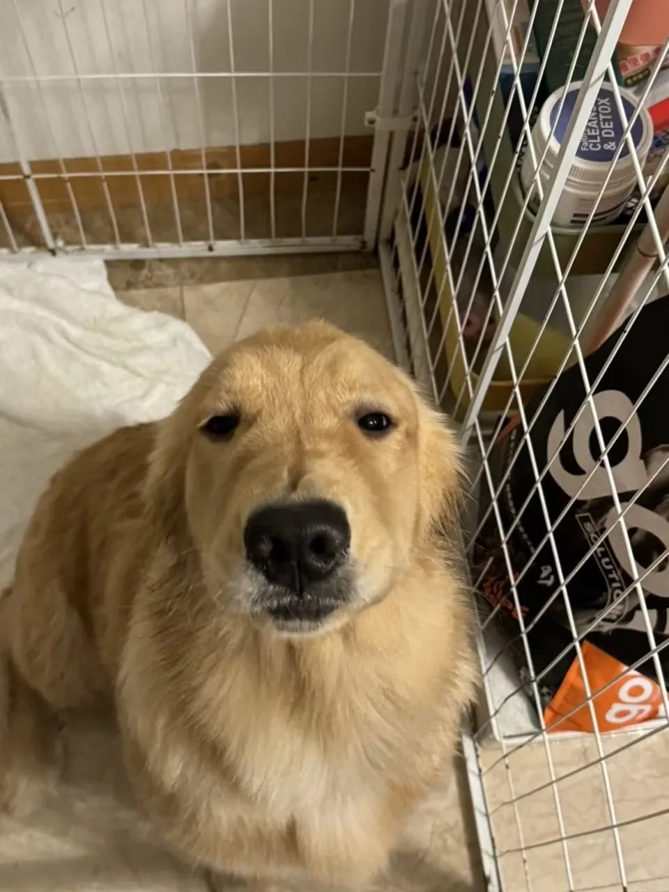 全民連鎖動物醫院總院