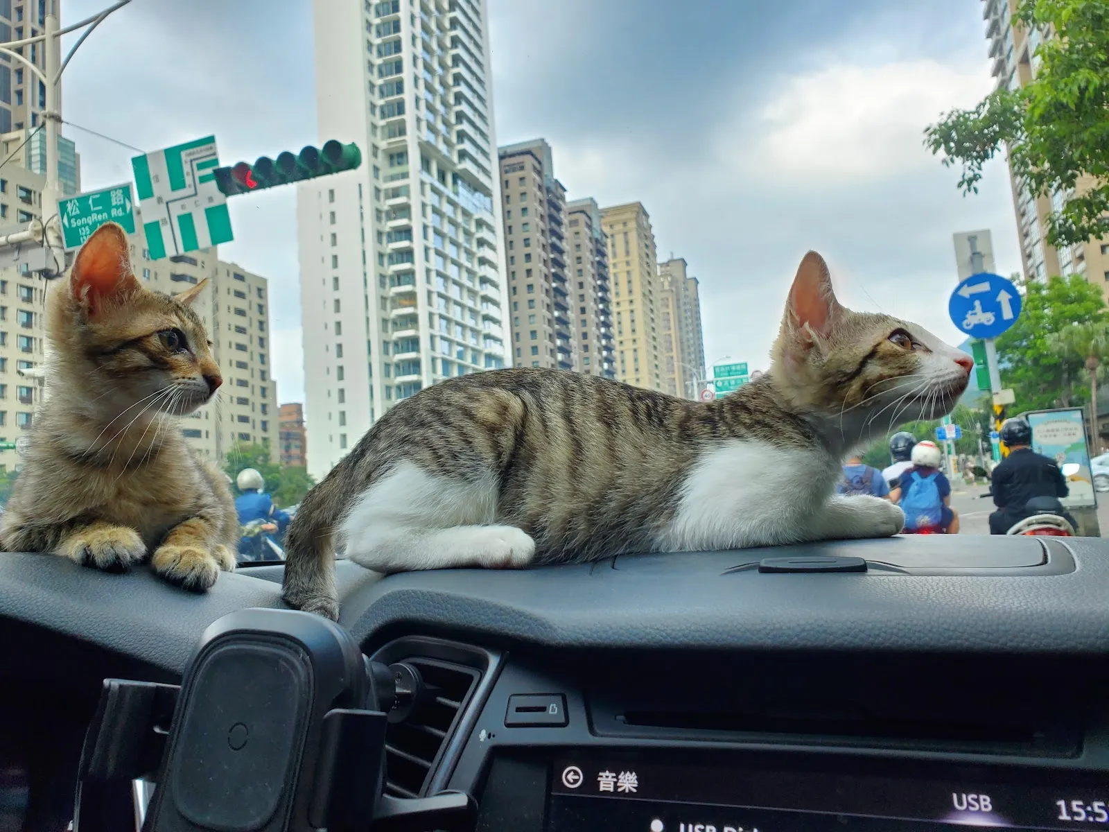 締爾動物醫院