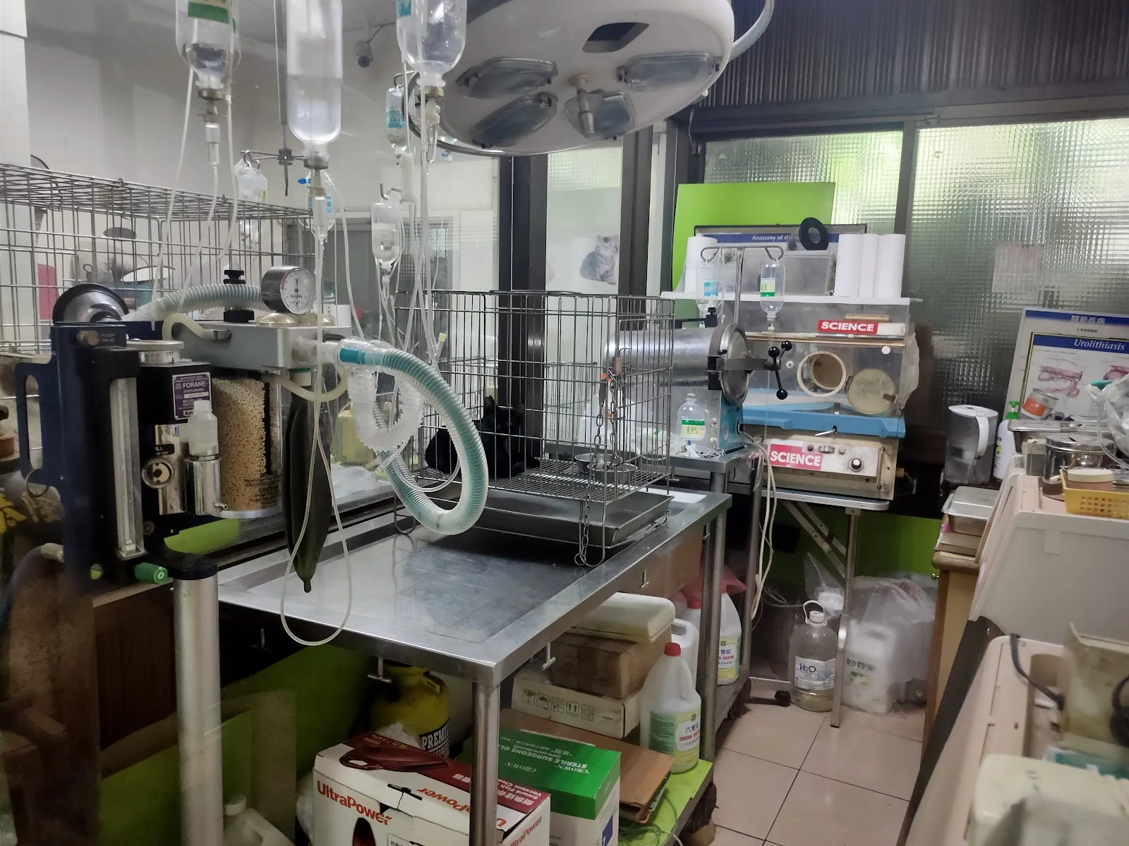 圓慶家畜動物診所