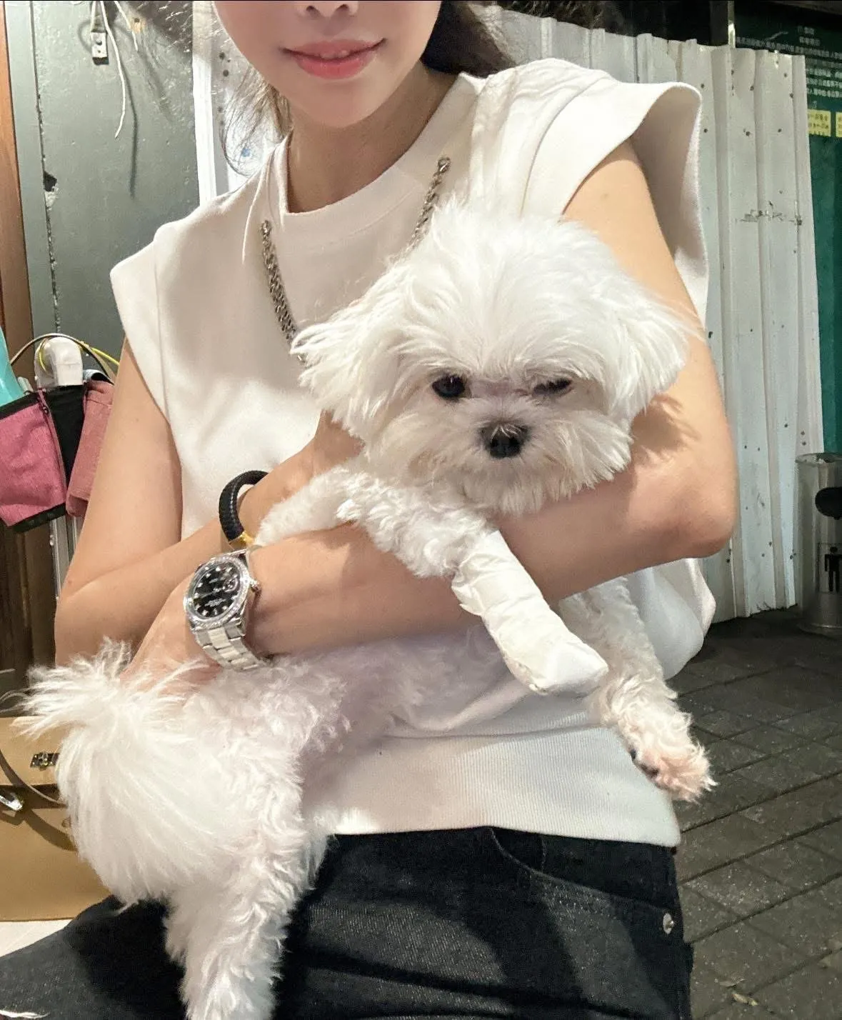 圓慶家畜動物診所