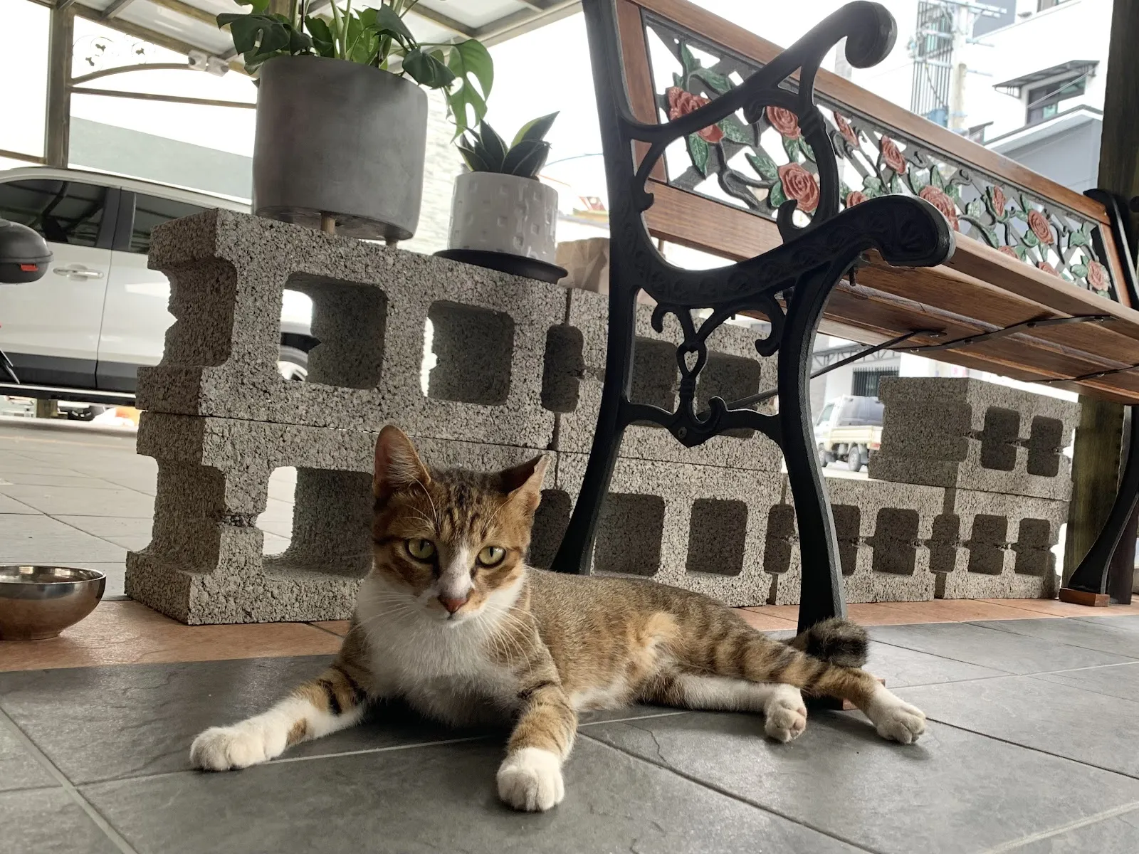 有心動物醫院