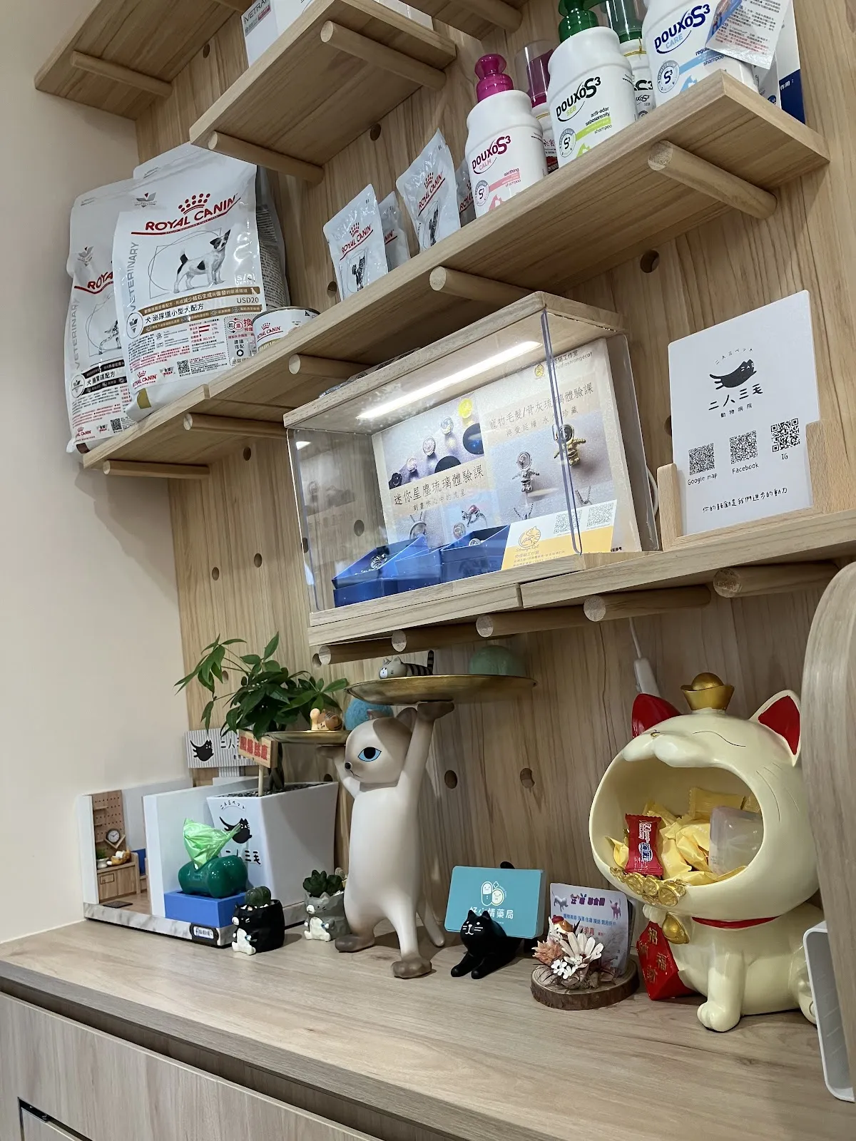 二人三毛動物醫院