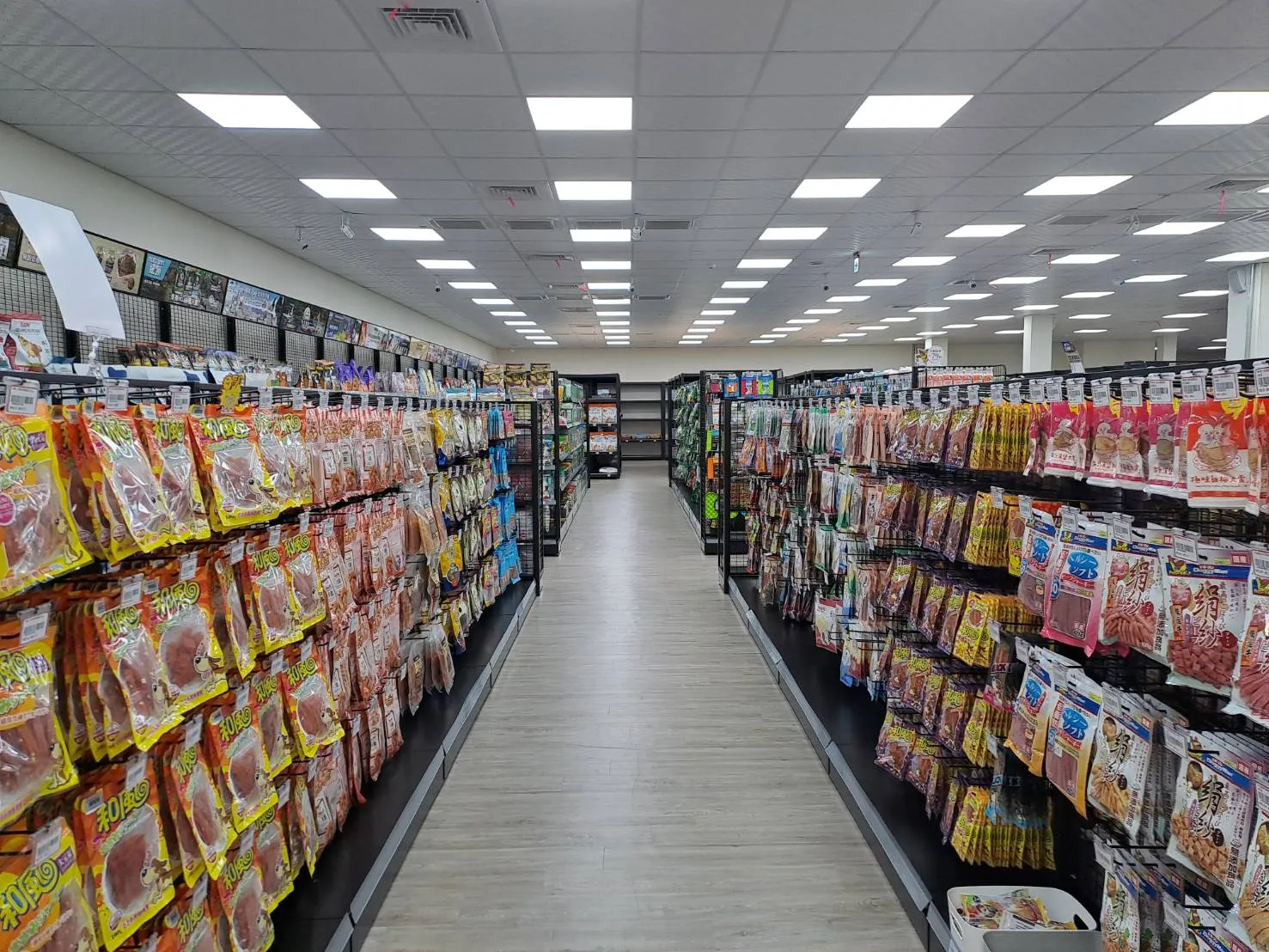 寵小到大動物醫院