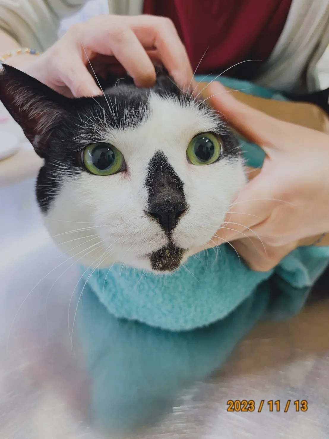 岡山德民動物醫院