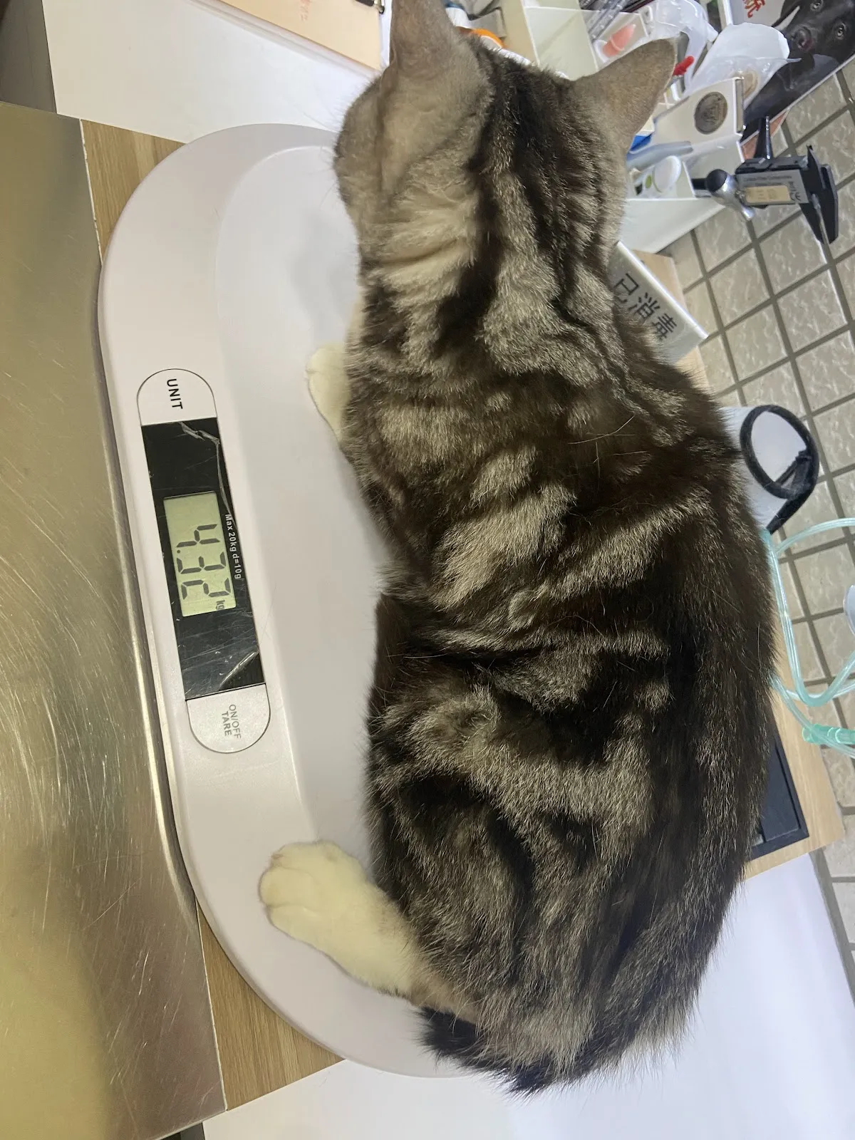 岡山德民動物醫院