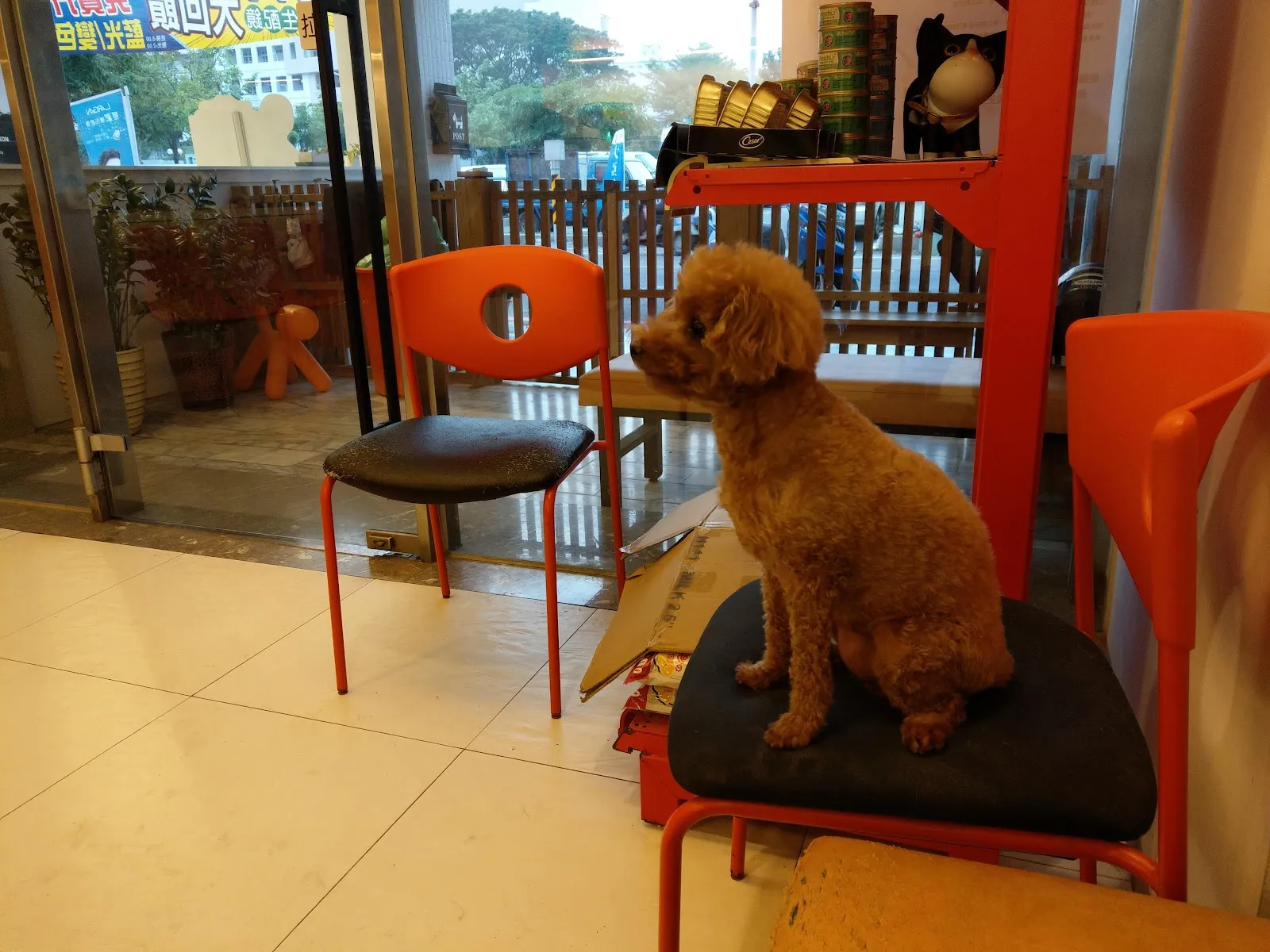 奇異果動物醫院