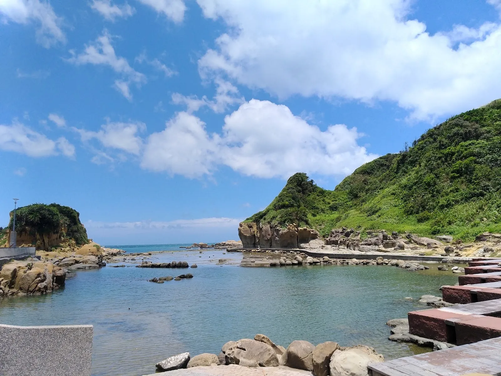 啤酒豬動物醫院