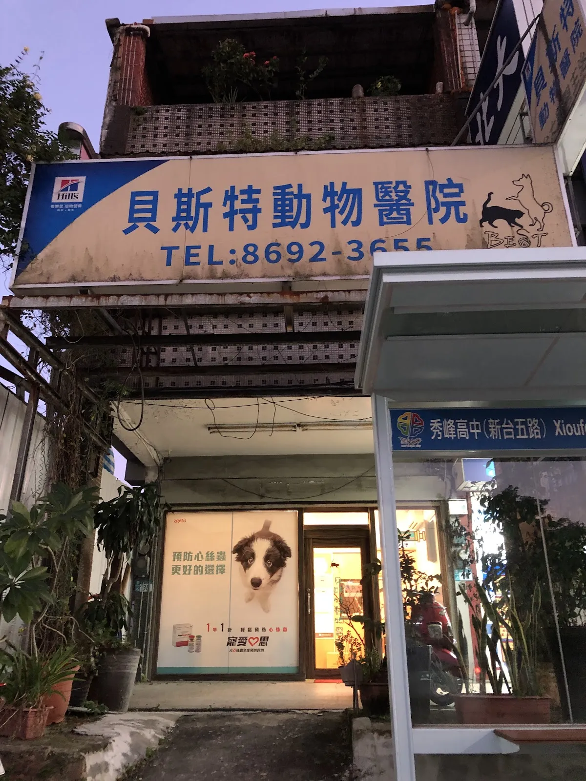 啤酒豬動物醫院