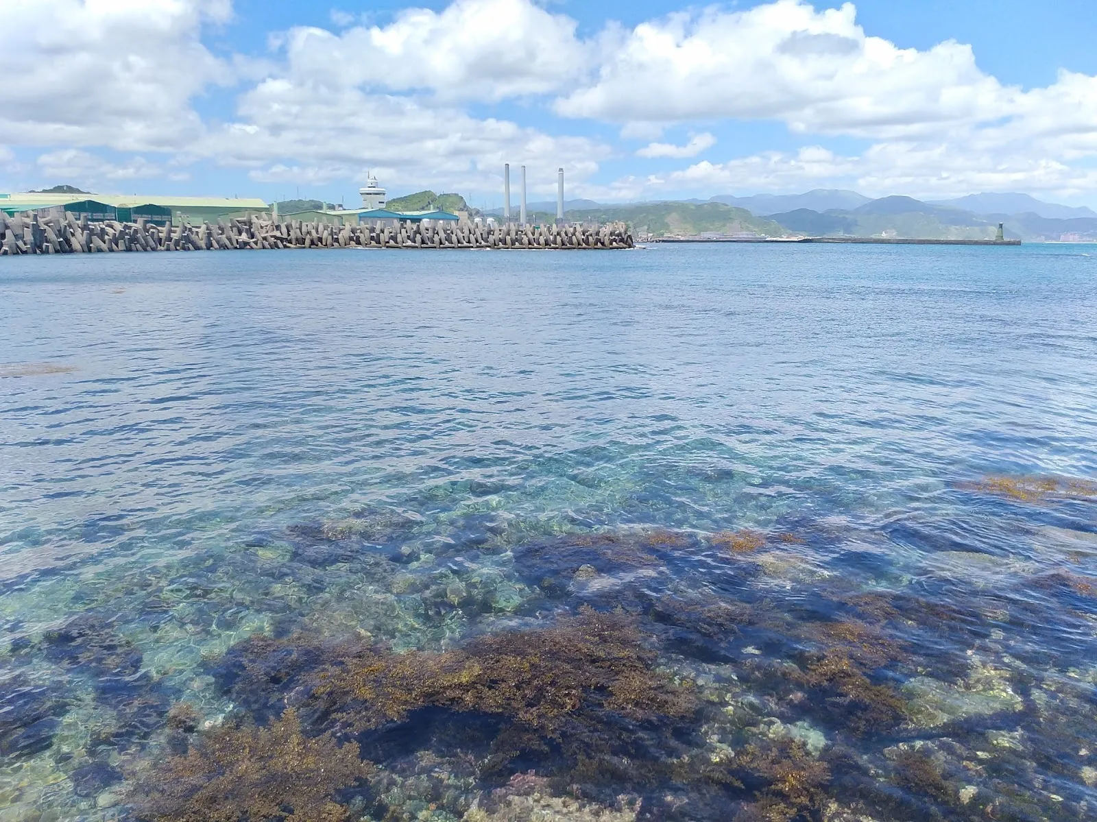 啤酒豬動物醫院