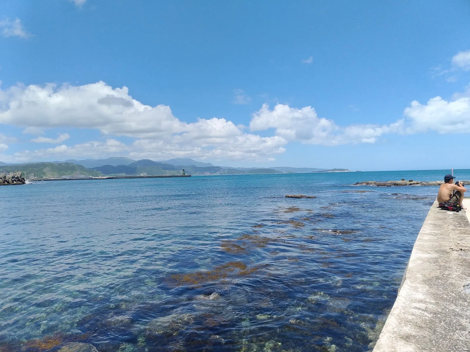 啤酒豬動物醫院