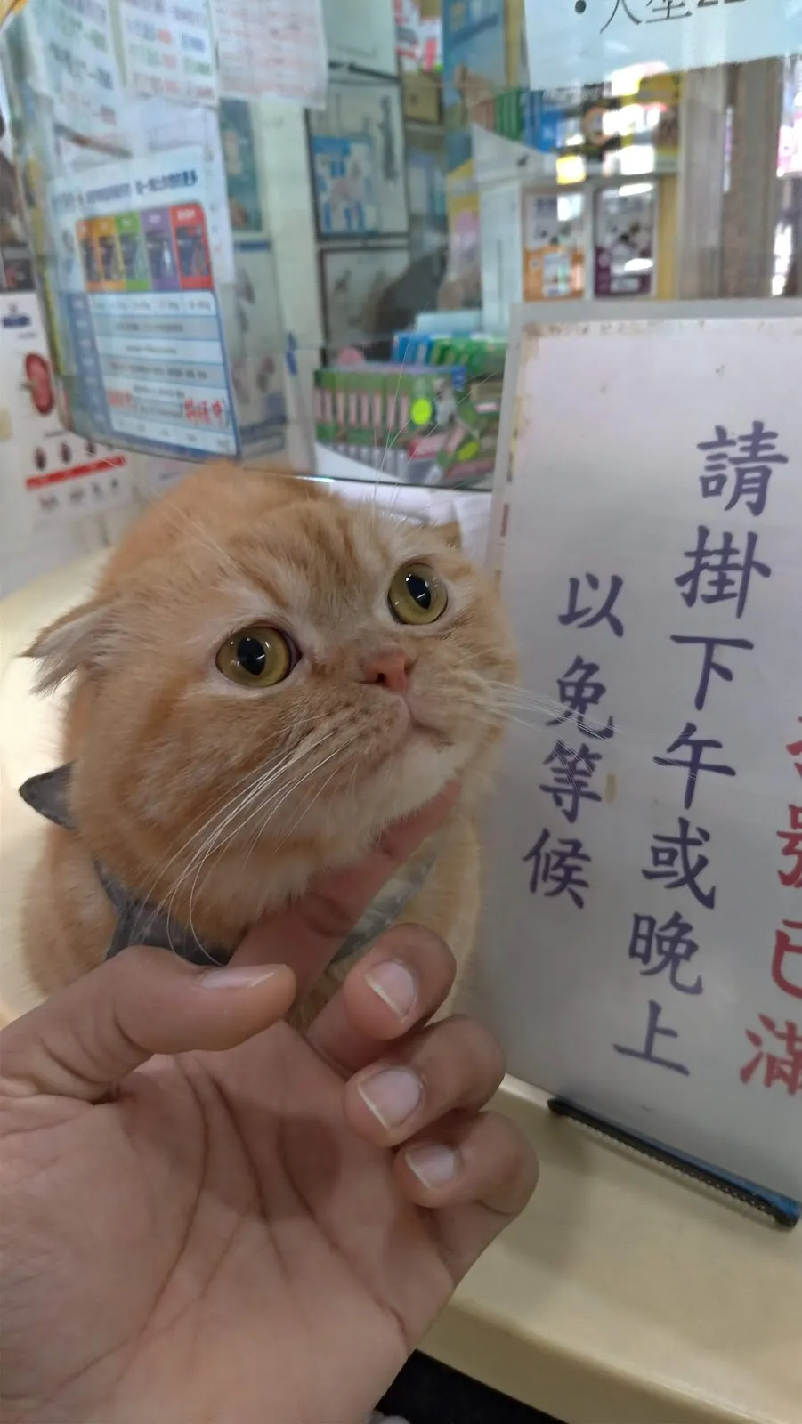 建國動物診所