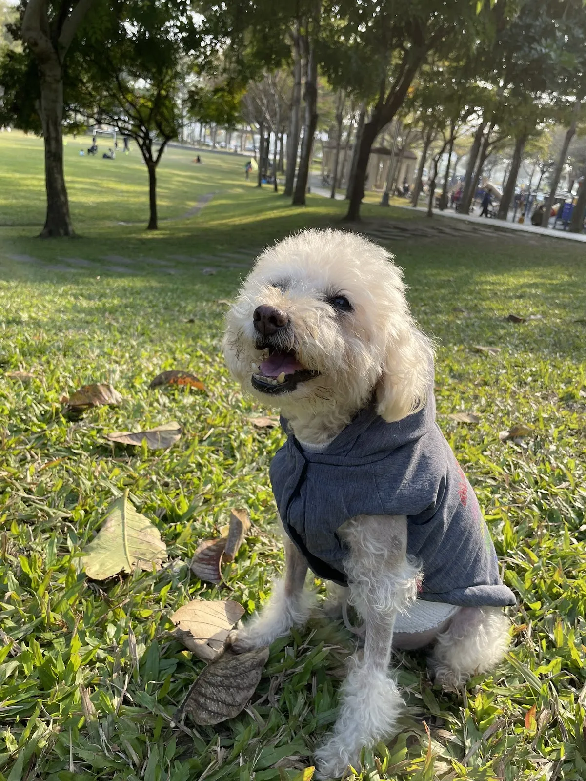 台灣福懋毛公館動物醫院