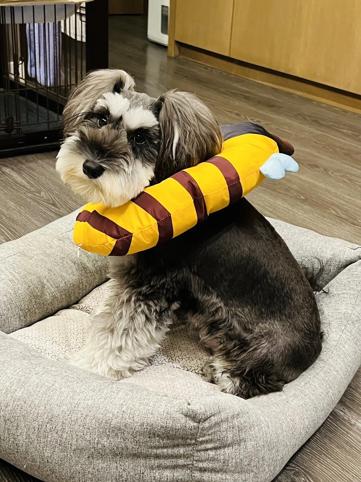 台灣福懋毛公館動物醫院