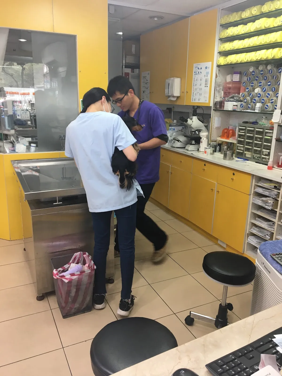 紐約紐約動物醫院