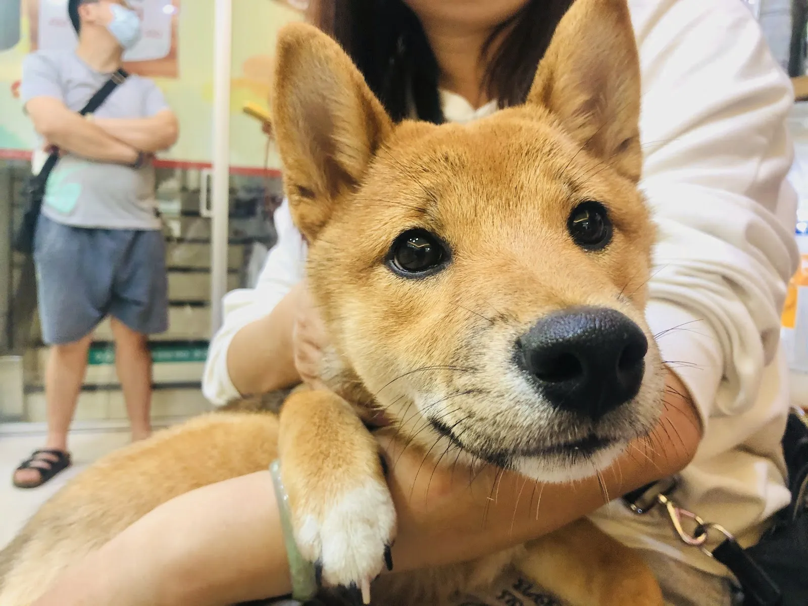 人人動物醫院平鎮分院