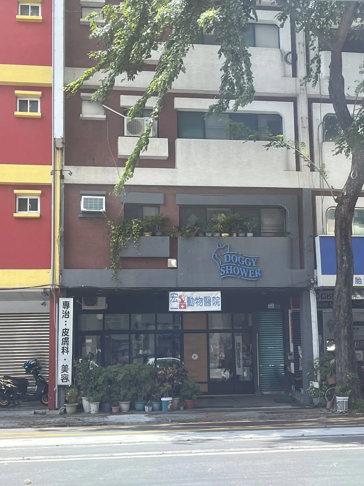 宏一動物醫院