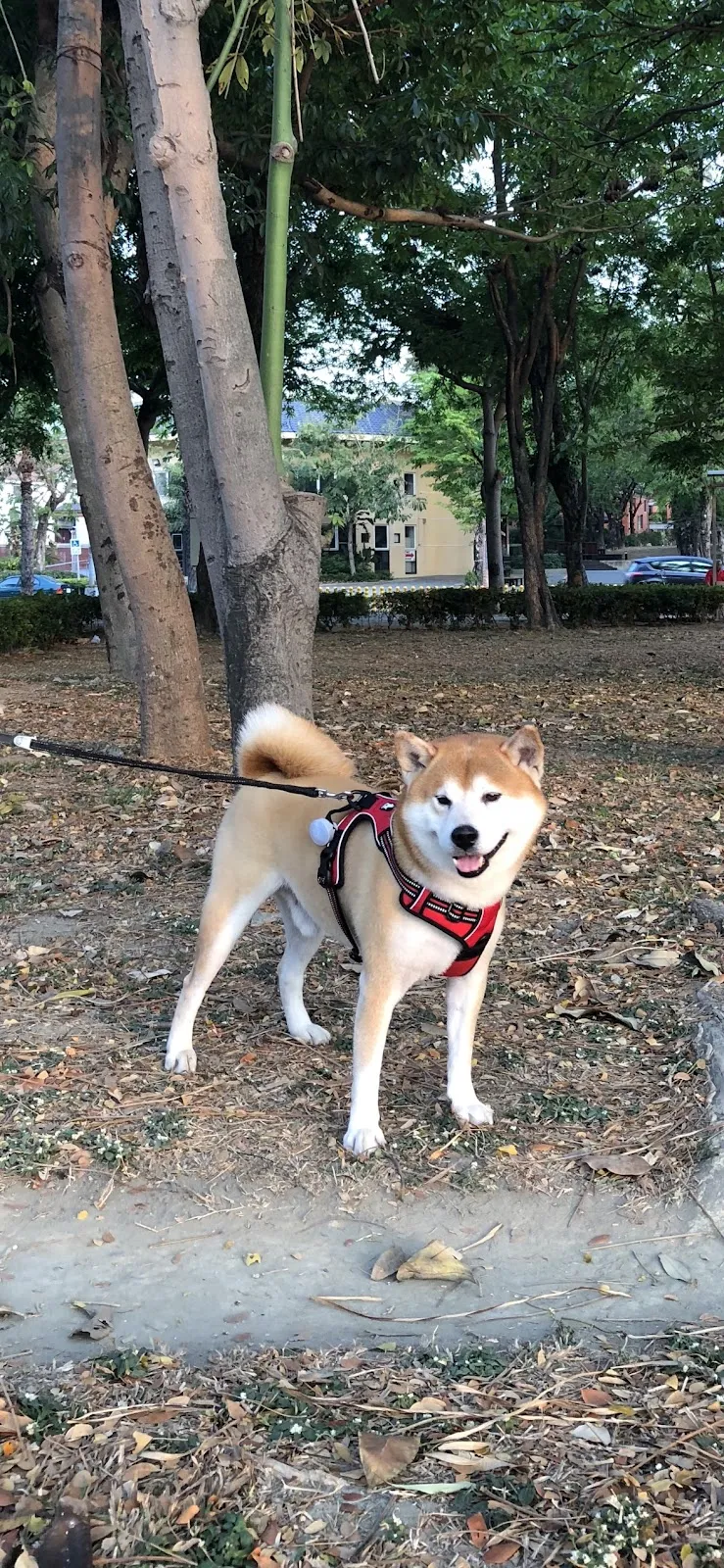 可昕犬貓專科醫院