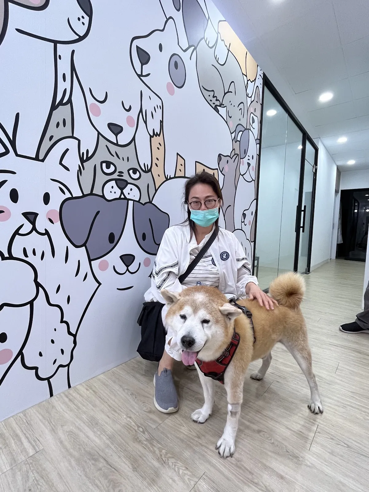 可昕犬貓專科醫院