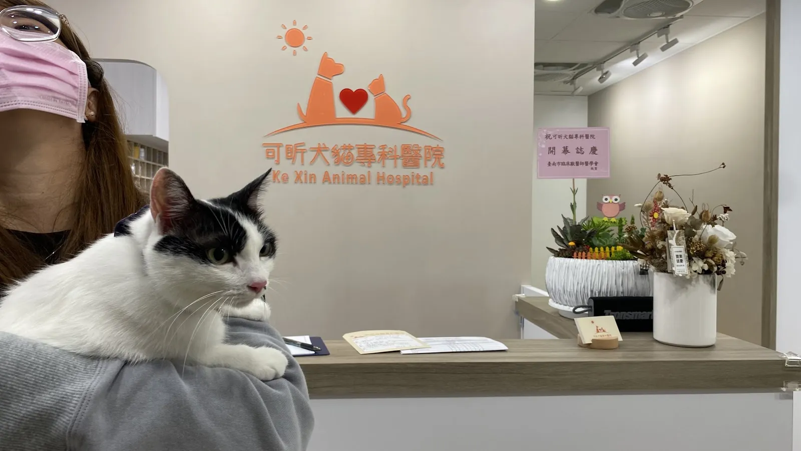 可昕犬貓專科醫院