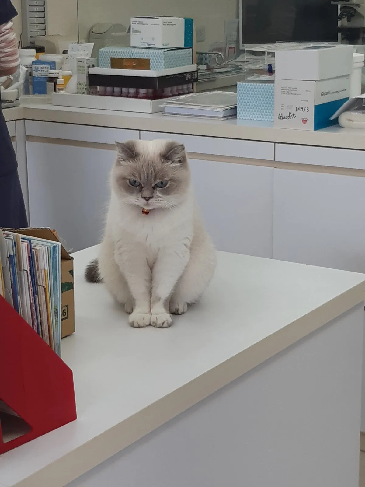 米懷谷動物醫院