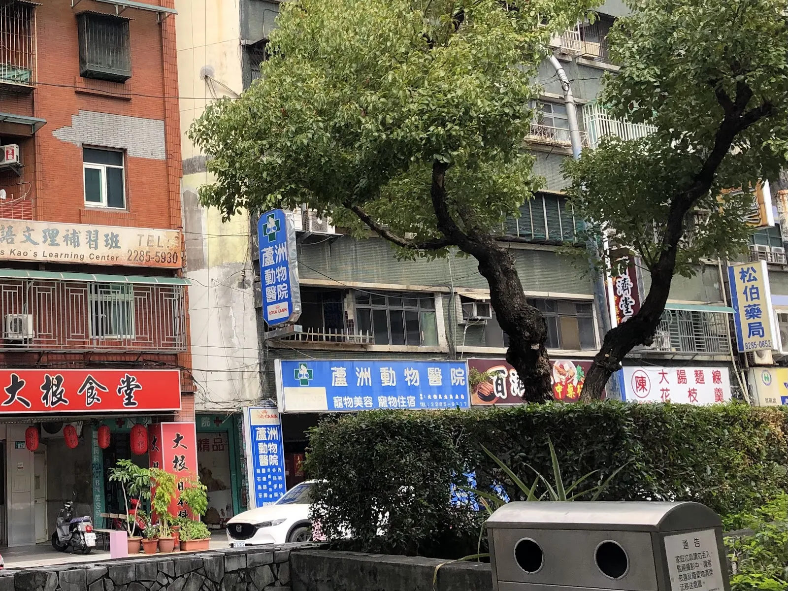 欣欣動物醫院