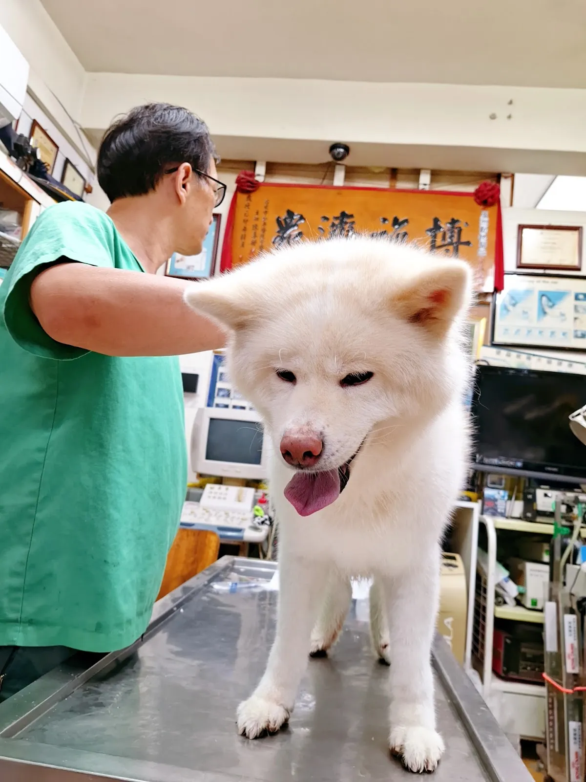 欣欣動物醫院