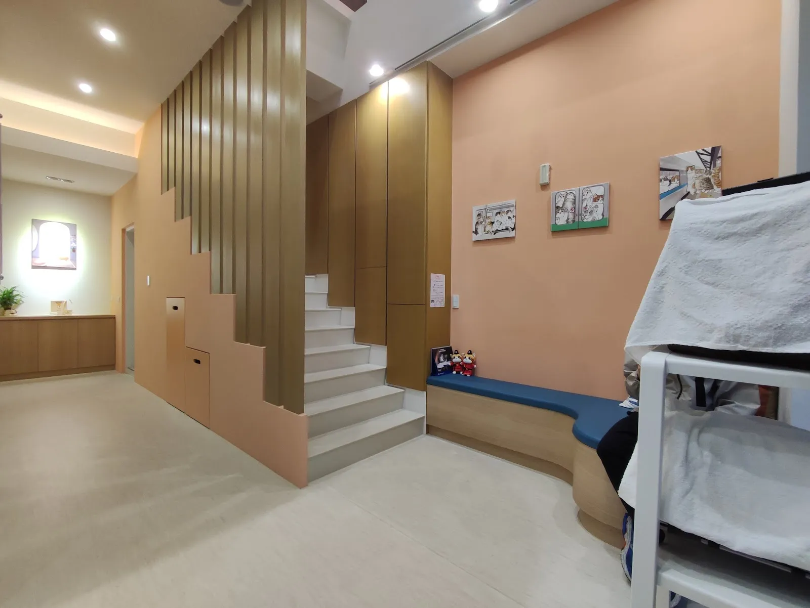 貓村貓專科醫院