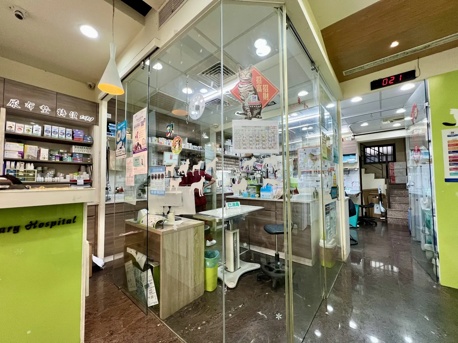 陳獸醫院
