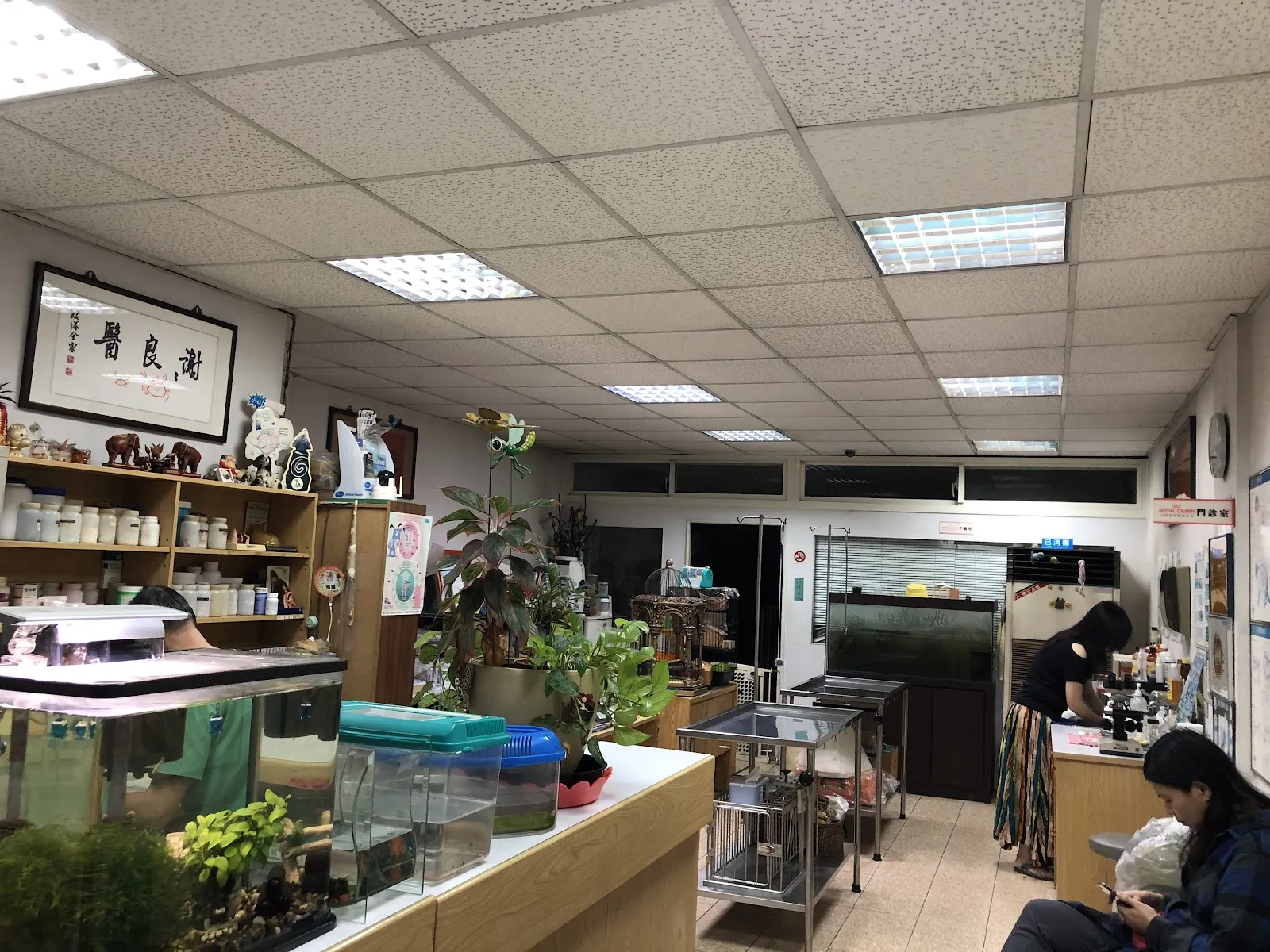 良醫動物醫院