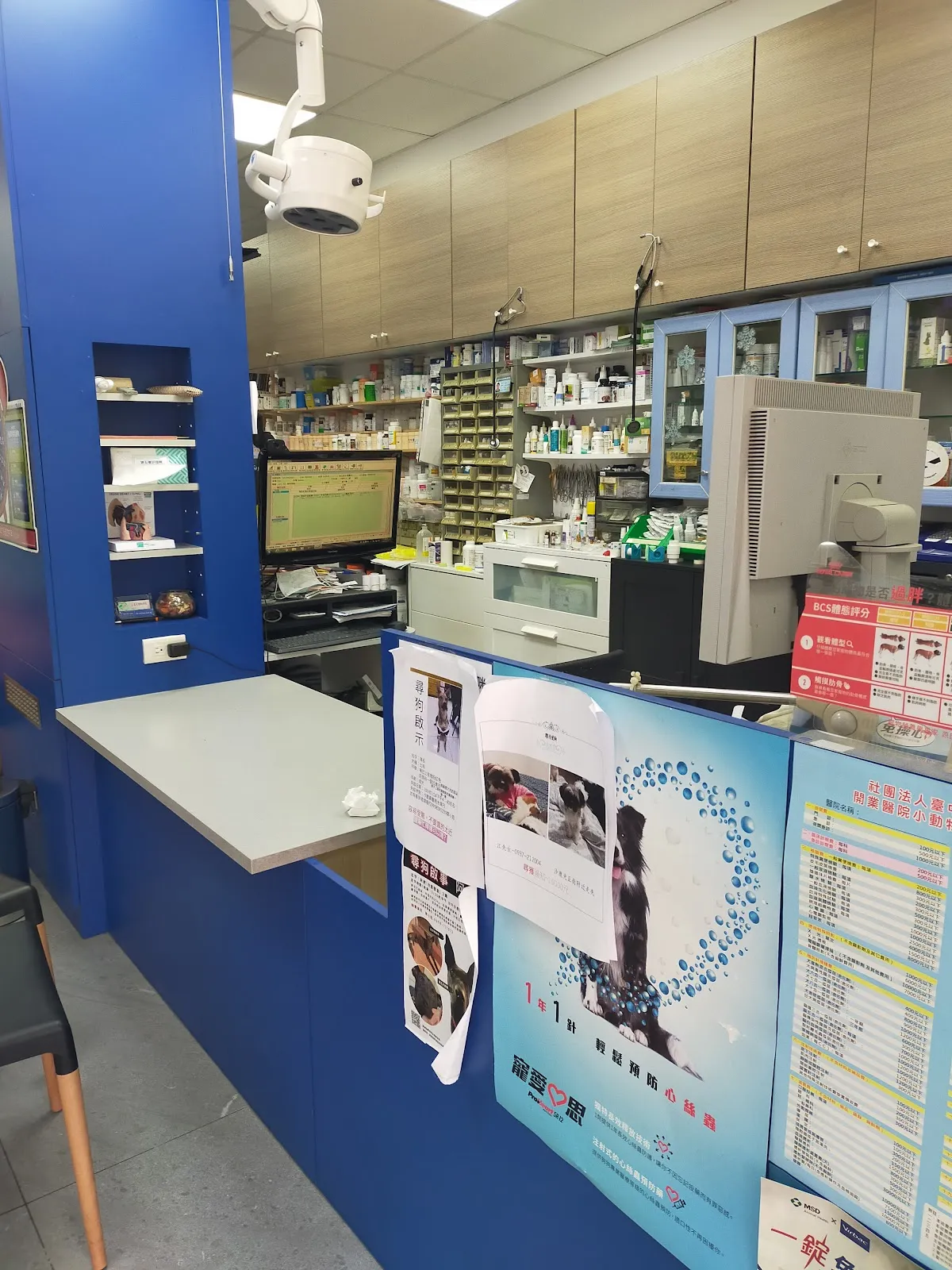沙鹿動物醫院