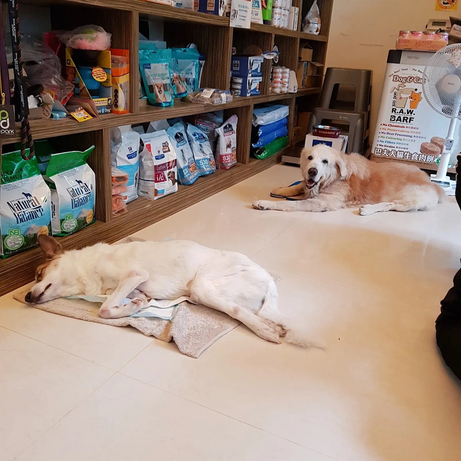維恩動物醫院