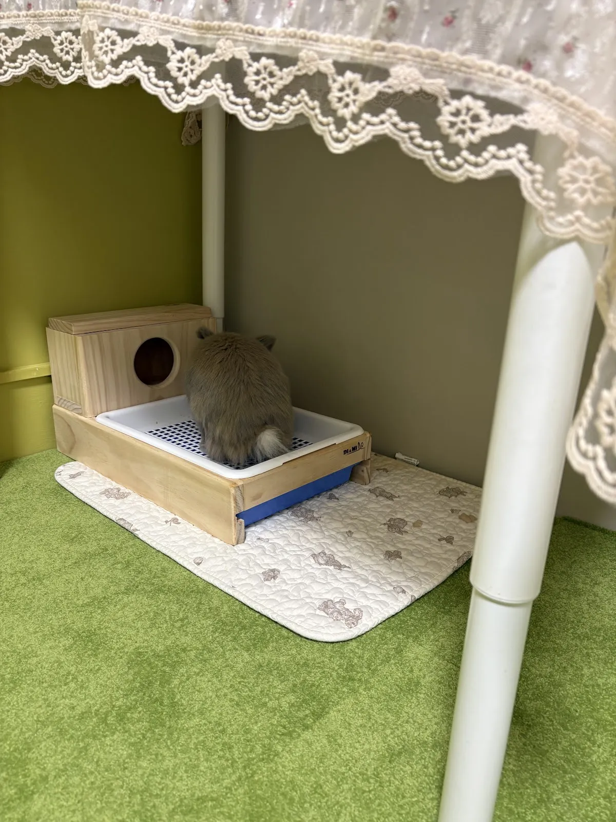 兔兔堂中西獸醫兔專科診所