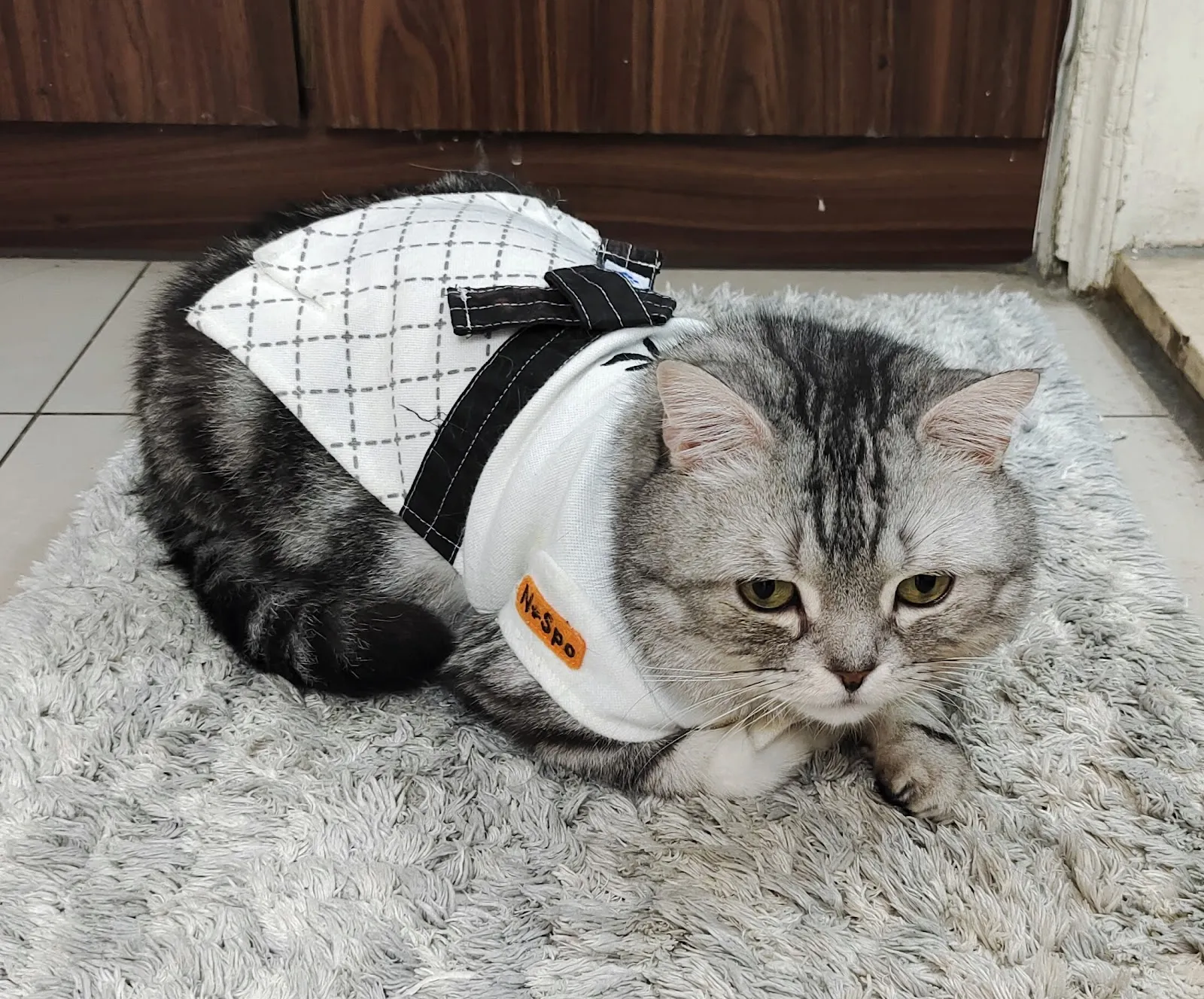 南京太僕動物醫院