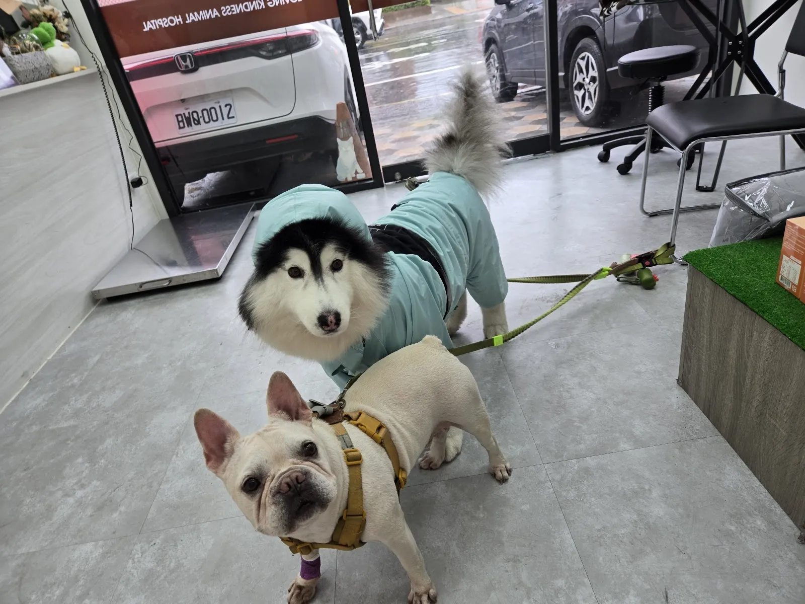 慈愛動物醫院中山分院
