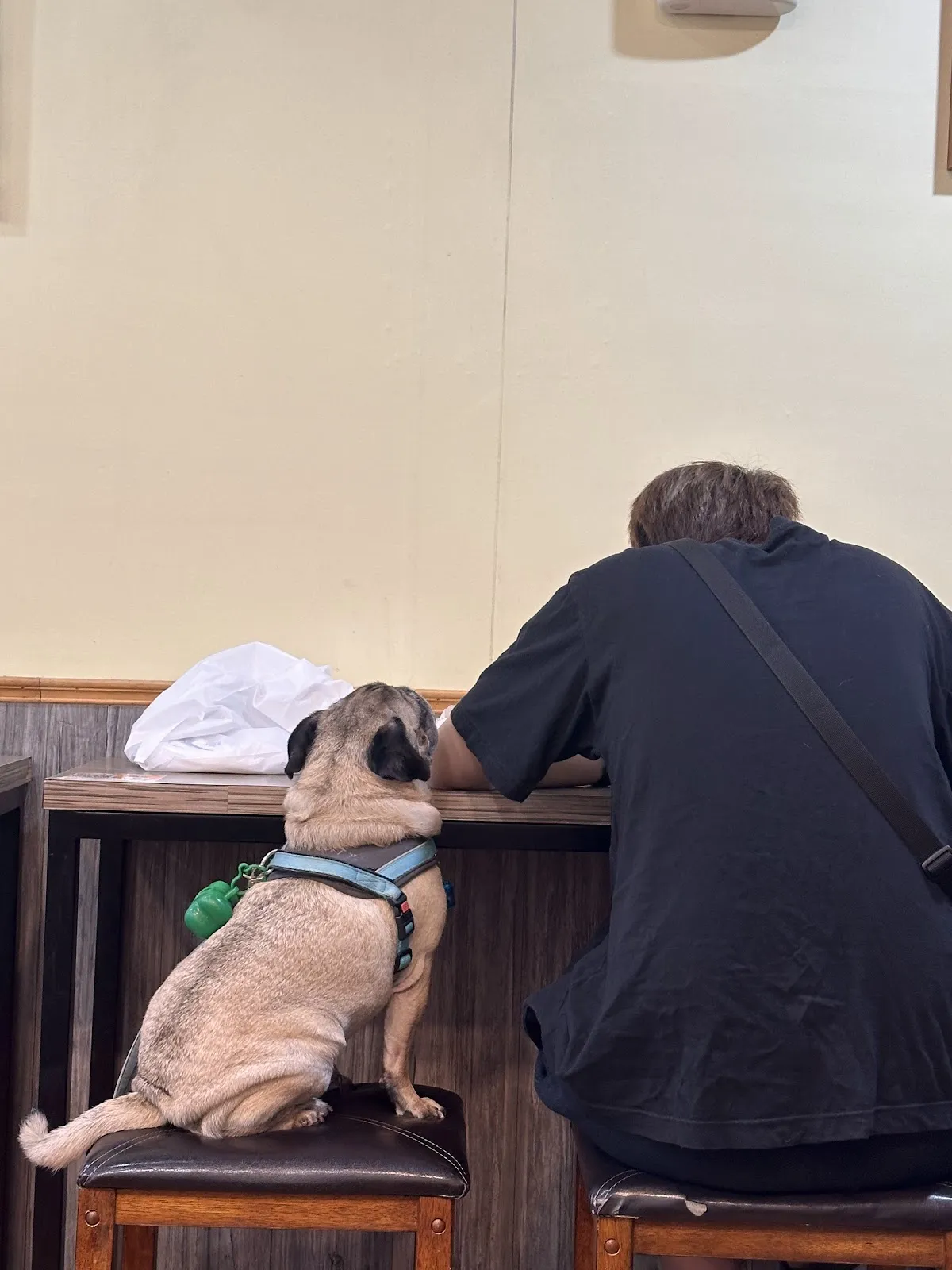 南勢角動物醫院