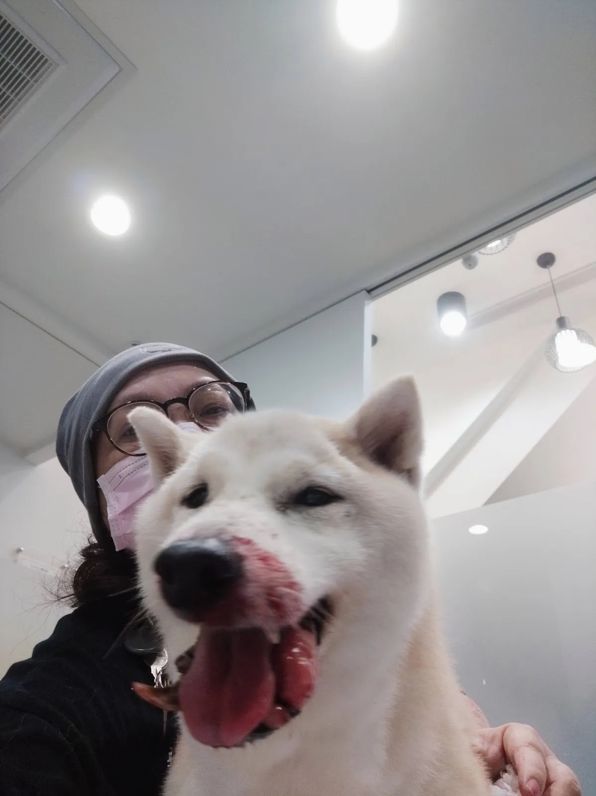 南勢角動物醫院