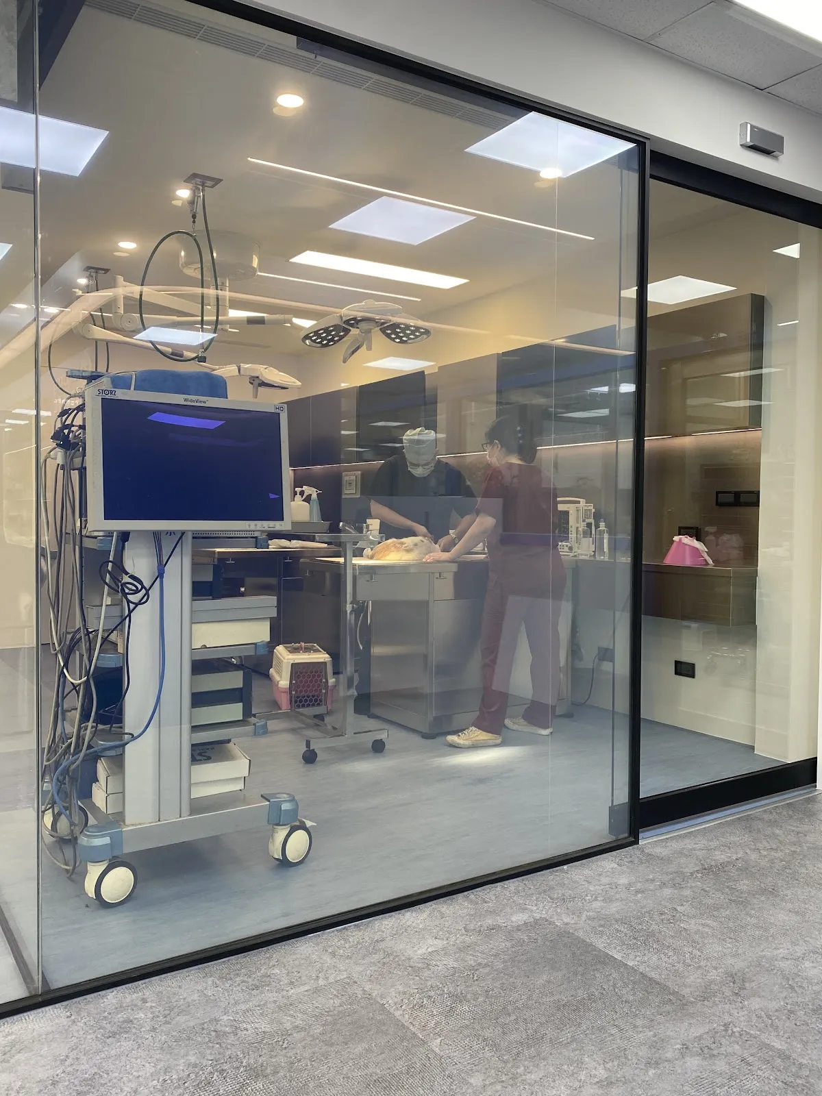 頭份永昌動物醫院