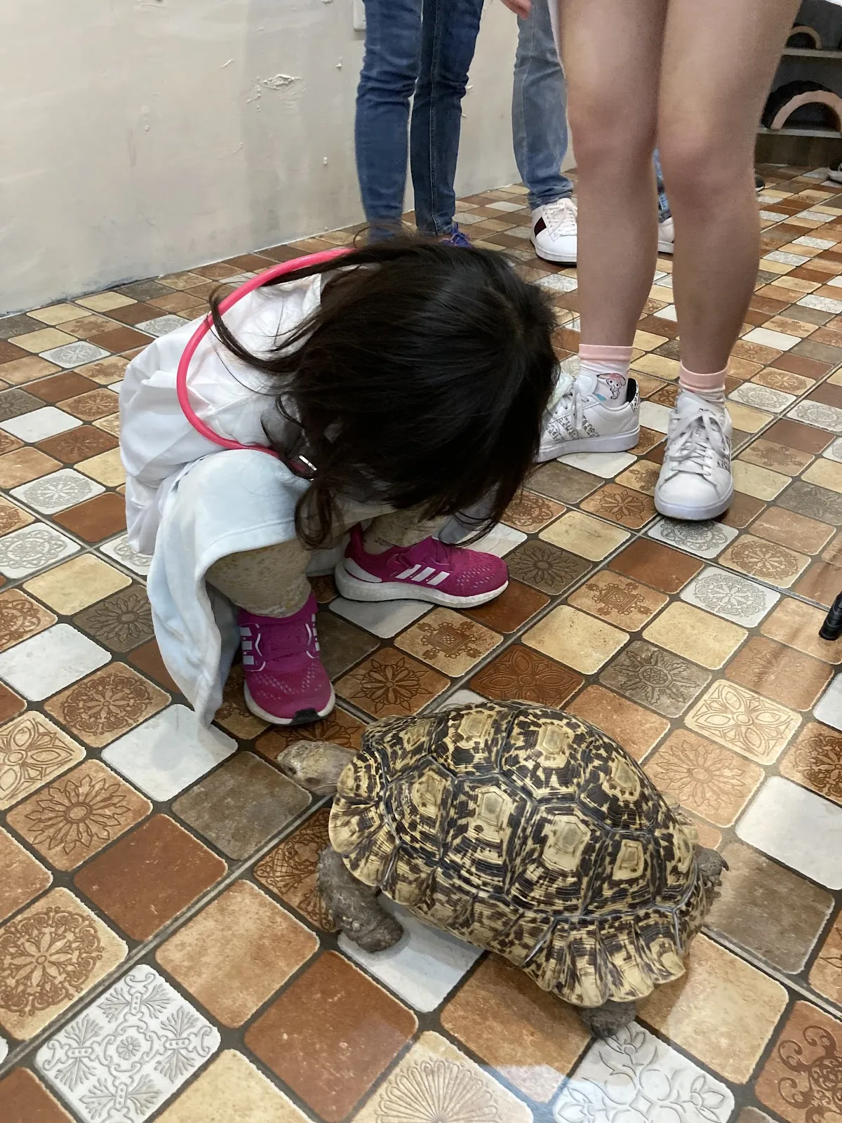 肯亞特殊寵物專科醫院