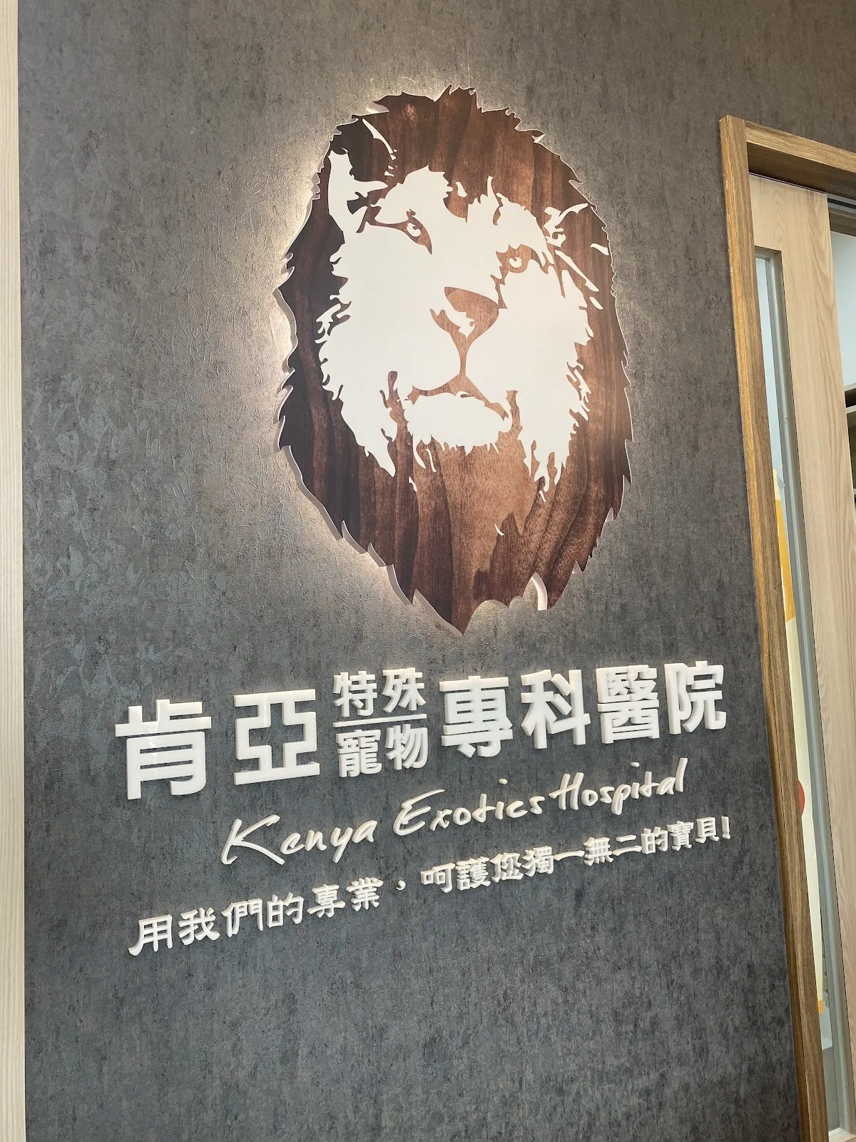 肯亞特殊寵物專科醫院