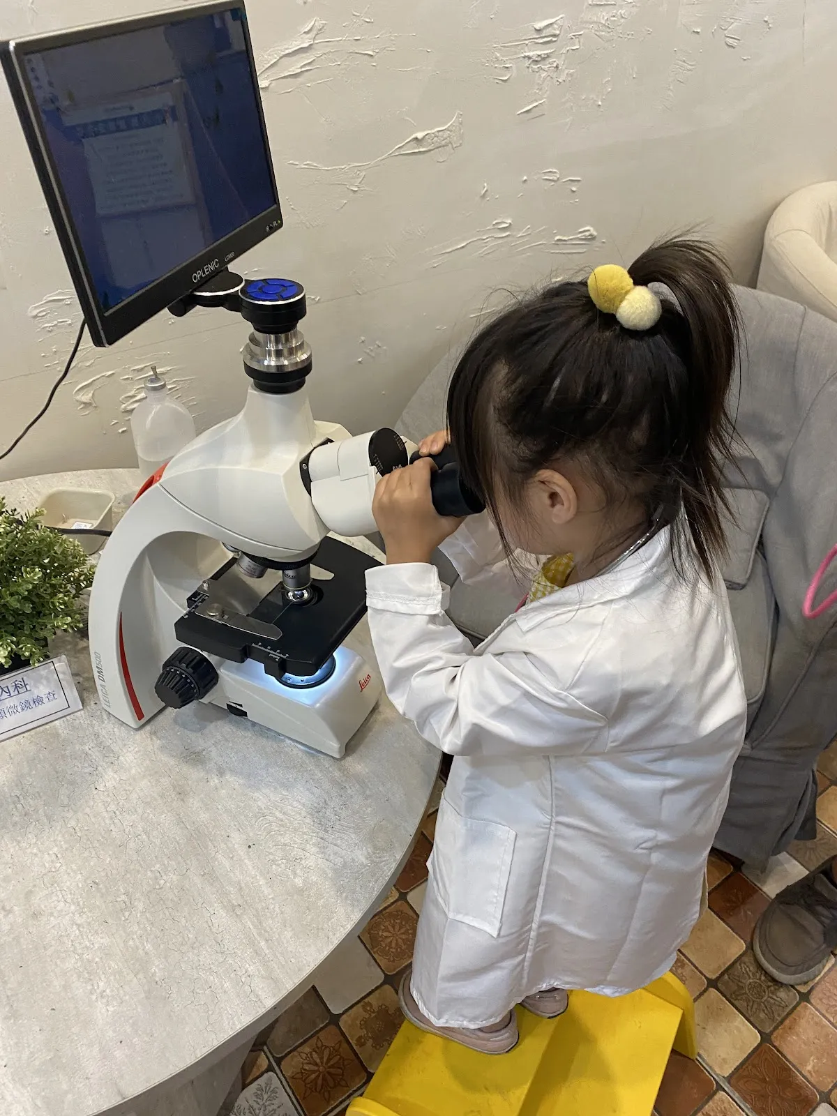 肯亞特殊寵物專科醫院