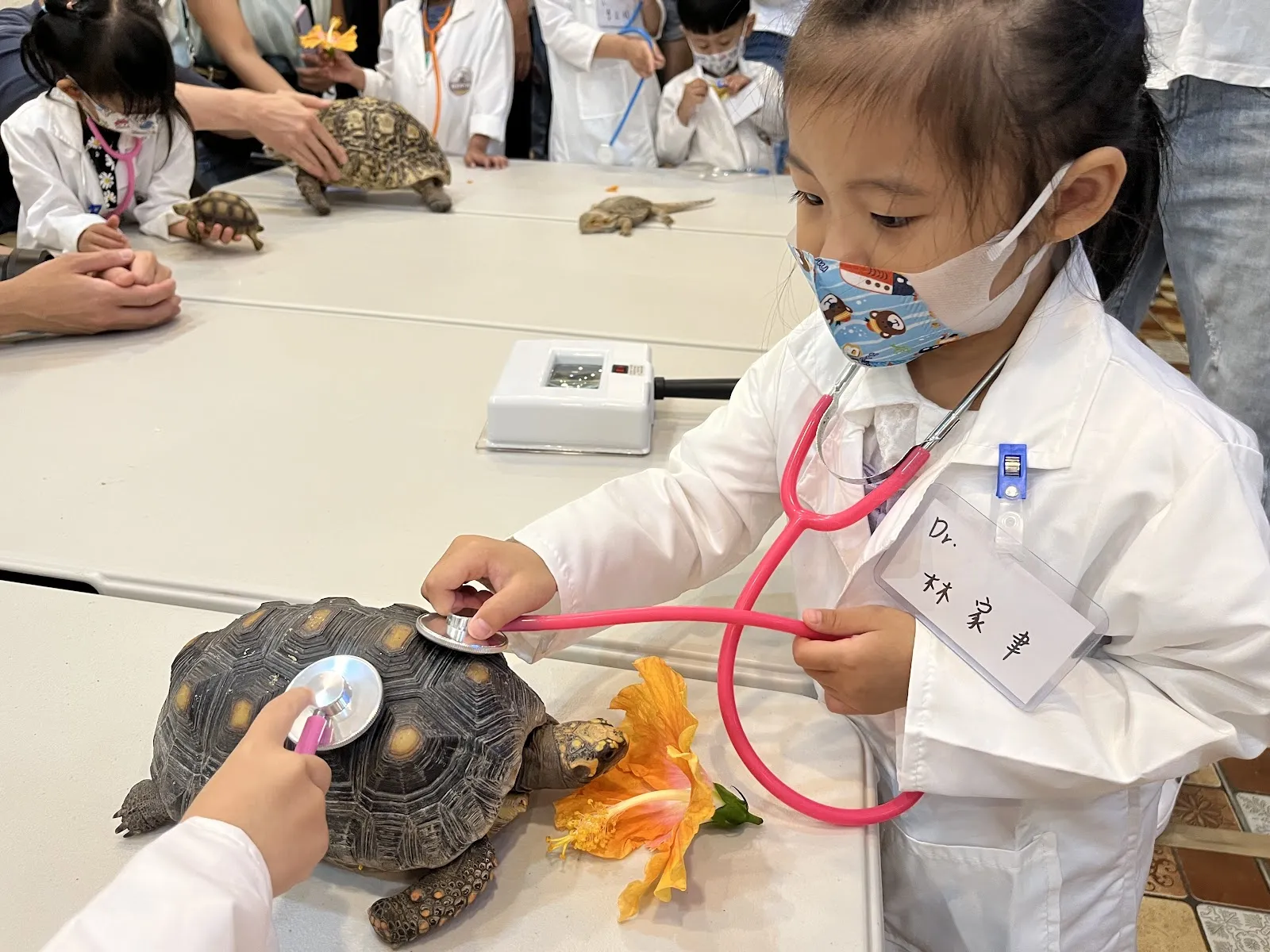 肯亞特殊寵物專科醫院