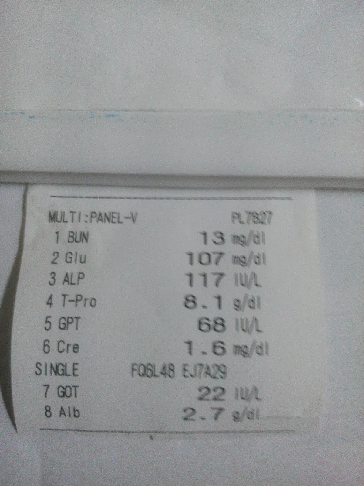 信達犬貓專科醫院