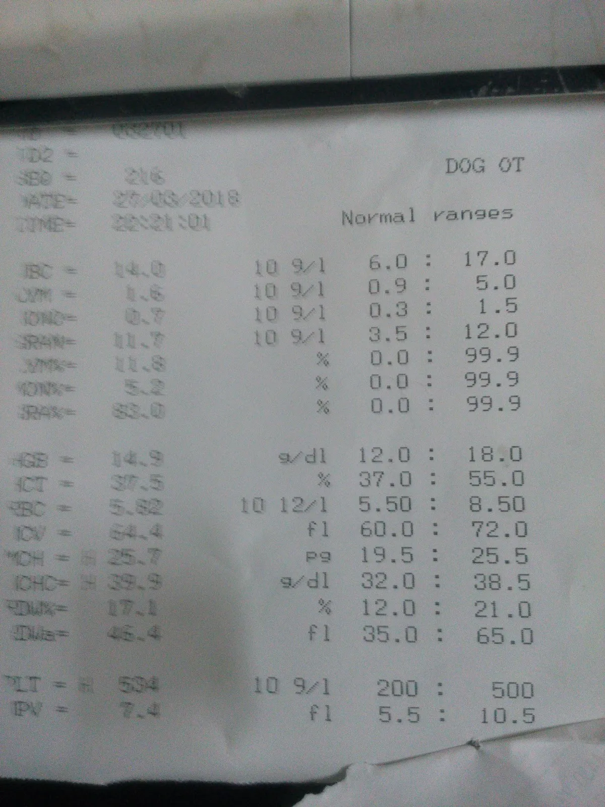 信達犬貓專科醫院