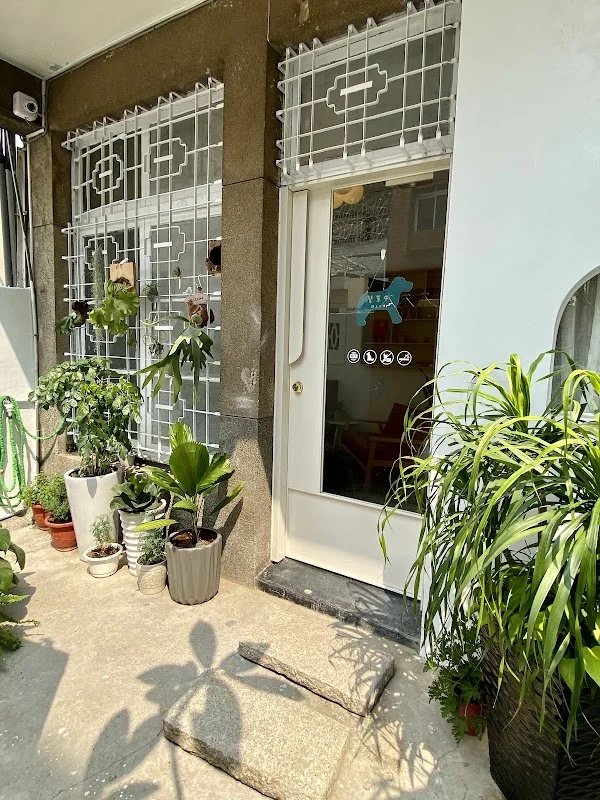 台南咖啡店-雞與雞蛋花