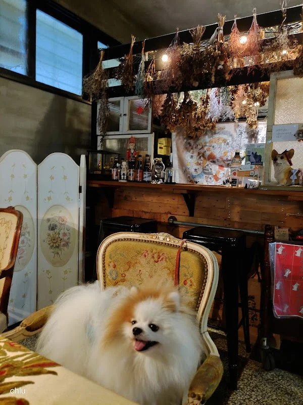 浪漫的逃亡 Romantic Escape Cafe（公休以IG為主）
