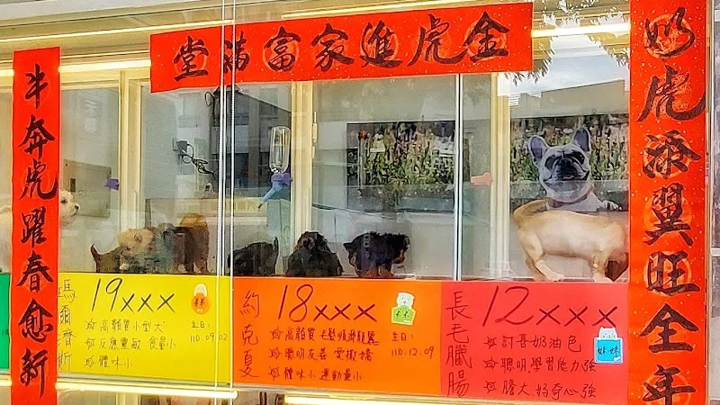 狗蛋窩